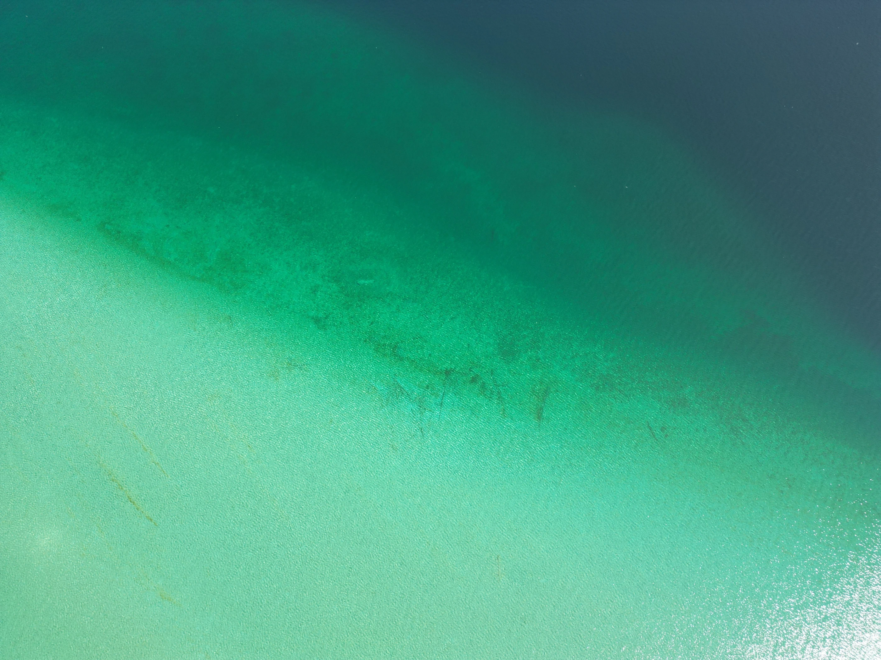 FishForge Homepage Cover